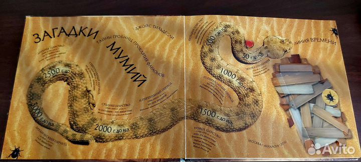 Загадки мумий