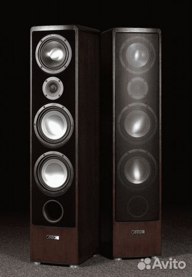 Напольная акустика Canton Ergo 690