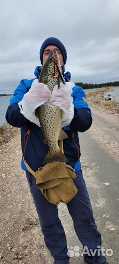 Воблеры на кумжу