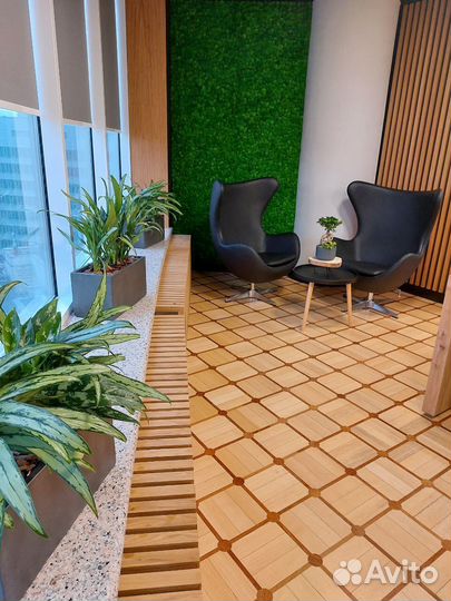 Фитостена / озеленение ресторана