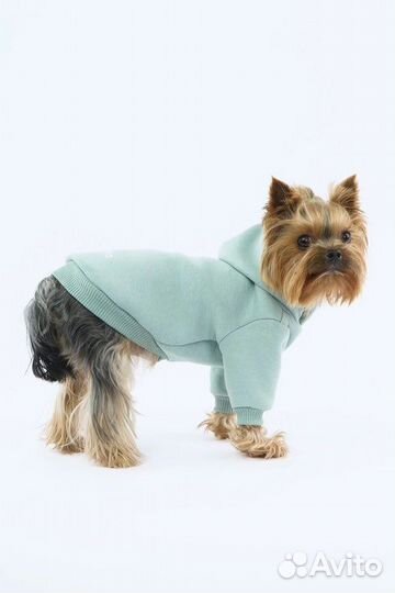 Одежда для собак новая