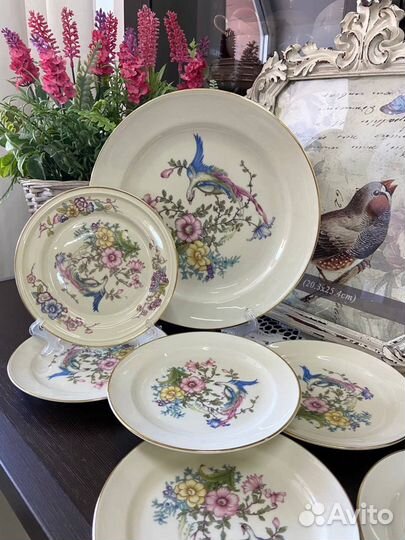 Прекрасные тарелки Rosenthal серия Winifred