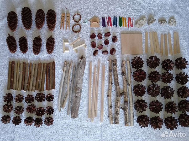 Набор Шишек для поделок и флористики