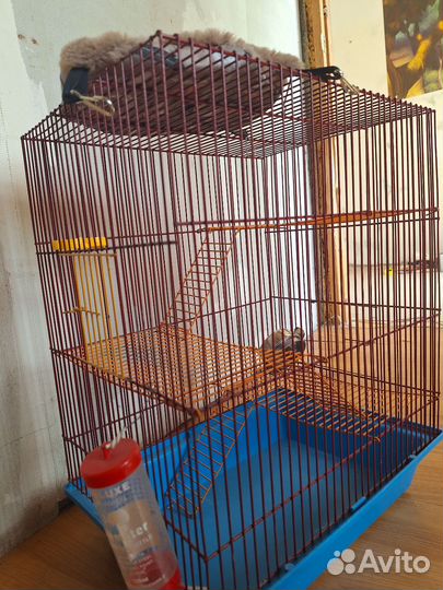 Клетка для грызунов большая