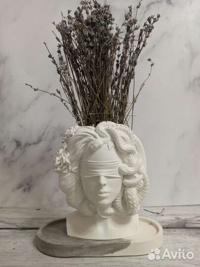 Медуза Горгона и мудрость