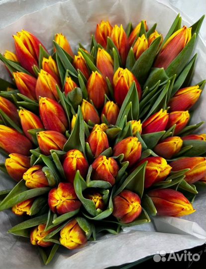 Тюльпаны - букеты цветов и пачками