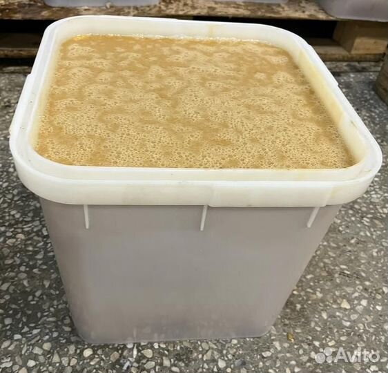 Гречишный мед опт