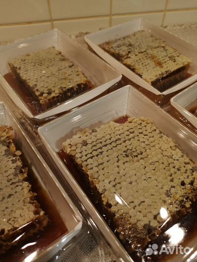 Мед в сотах с Алтая фасовка в контейнерах 400 гр