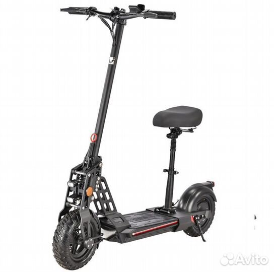 White siberia taiga black SEA