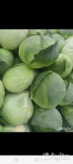 Капуста с поля