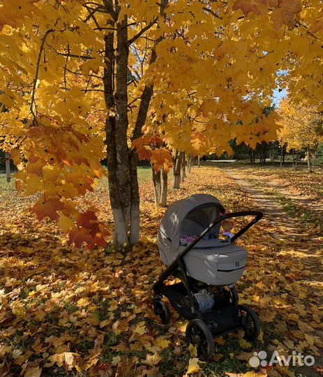 Коляска Inglesina aptica xt