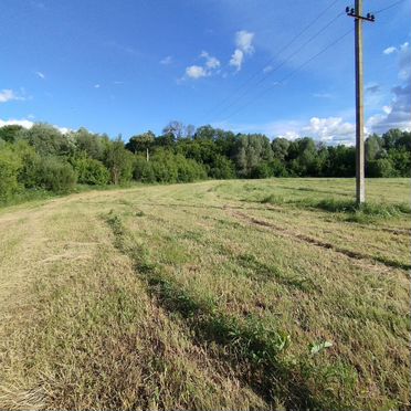 Продам сено Луговое в рулонах