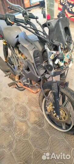 Alpha Rs 12 Champ Millenium