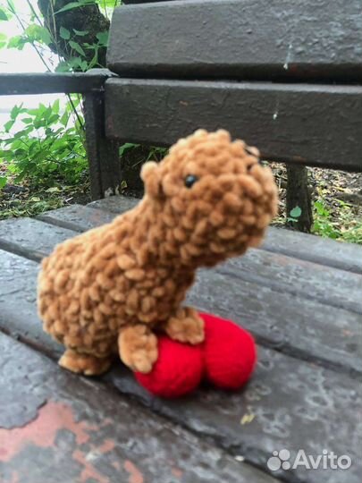 Капибарëныш