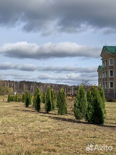 Озеленение и благоустройство
