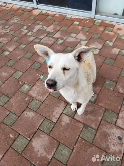 Добрая малышка с детства на улице