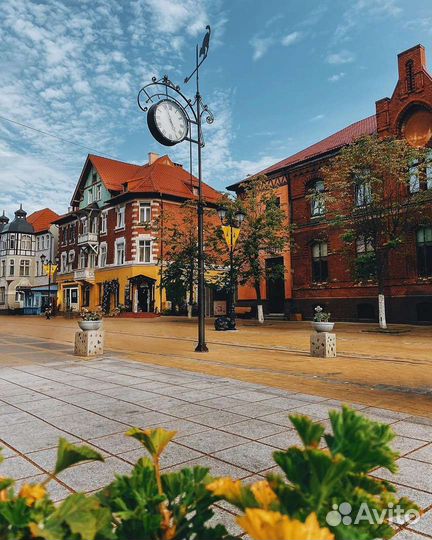 Экскурсия на Куршскую косу и вся область