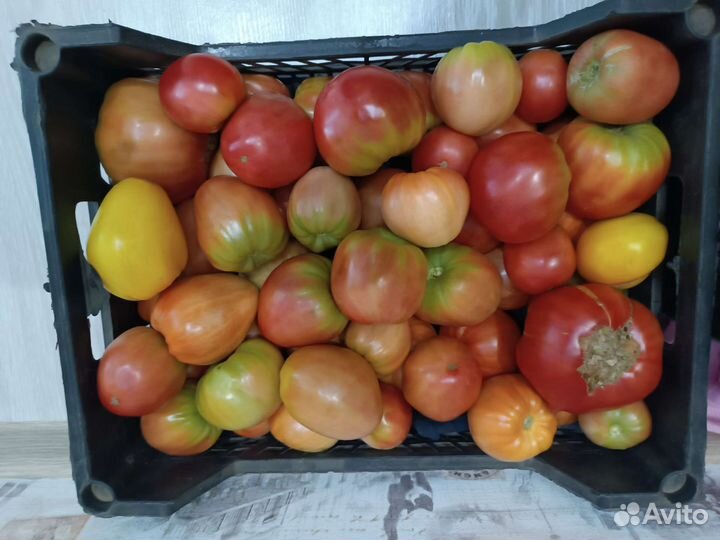 Помидоры 