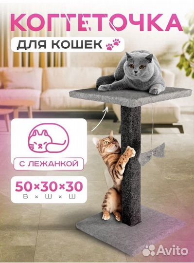 Когтеточка Новая