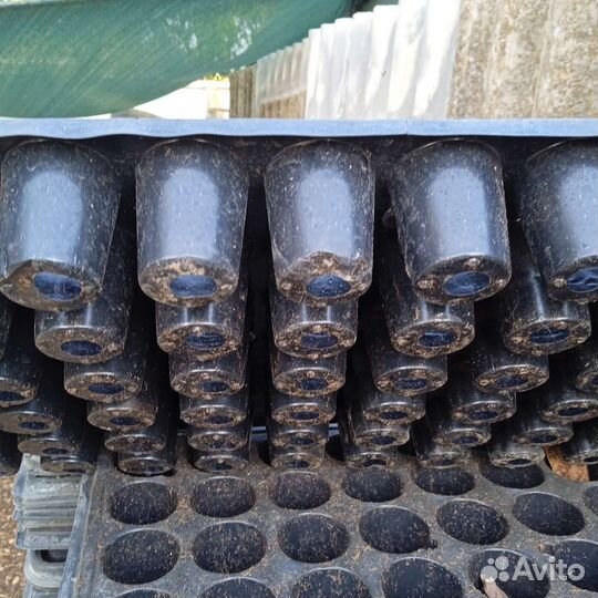 Кассеты для рассады бу ячейки 54