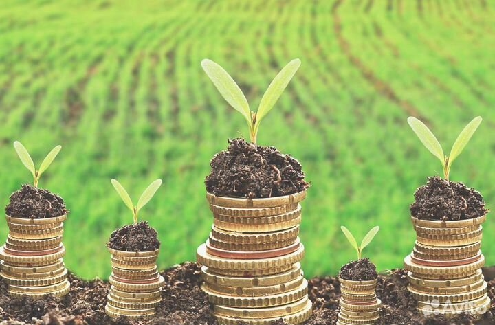 Инвестиции в сельское хозяйство, пассивный доход