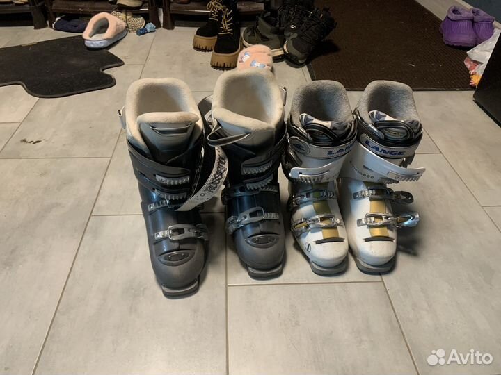 Горные лыжи