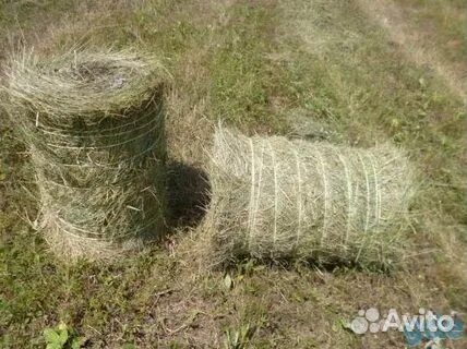 Сено в тюках