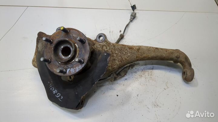 Ступица (кулак, цапфа) Nissan Navara, 2012