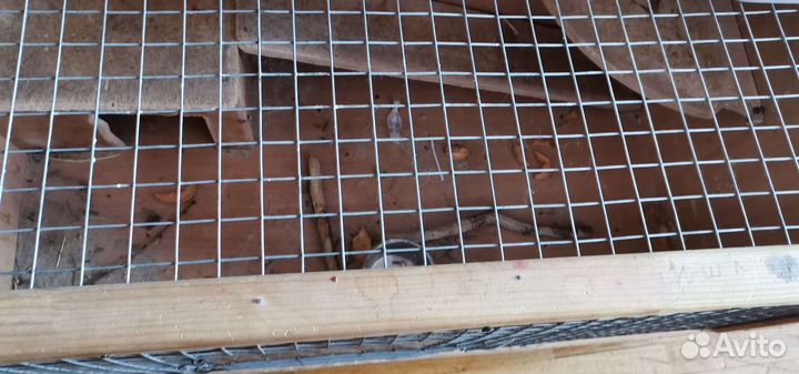 Клетка для декоративного кролика