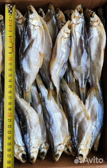 Пелядь вяленая