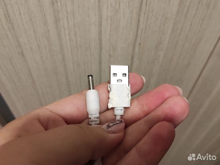 Поющий кактус