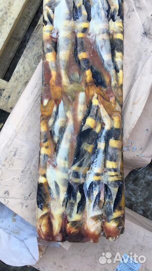 Свежезамороженная рыба