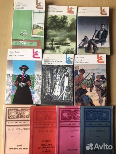 Школьная библиотека. Классики и современники