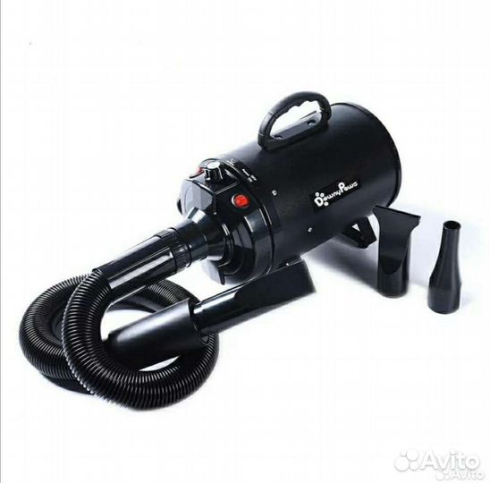 Фен компрессор для собак в аренду