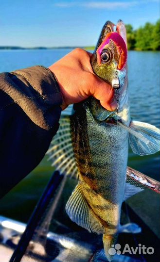 Грузило эксцентрик