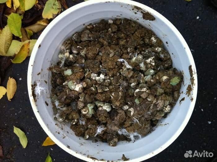 Птичий помёт в мешках