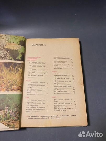 Корчагина Ботаника 5 6 класс