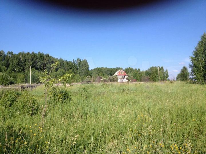 Участок 60 сот. (СНТ, ДНП)