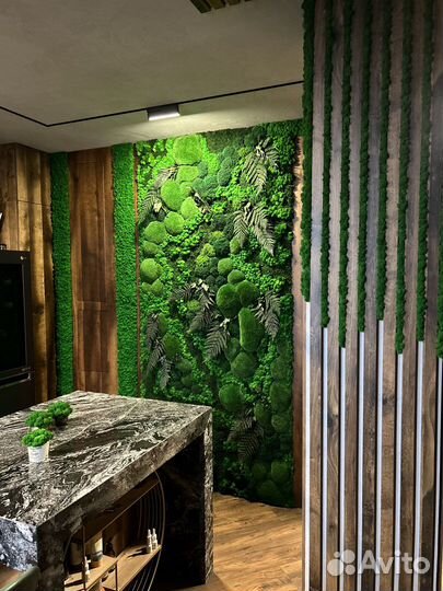 Стабилизированный Мох.Озеленение.Фитостена.Декор