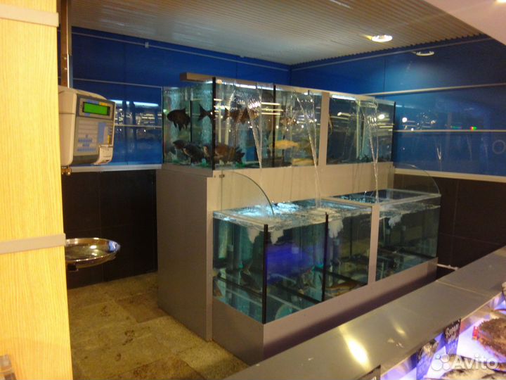 Аквариум для живой рыбы/моллюсков