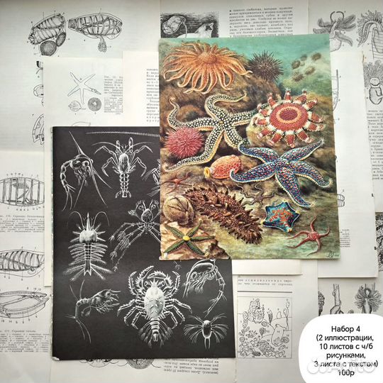 Набор для джанкбука (скрапбукинга)