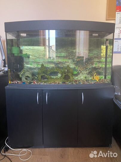 Аквариум