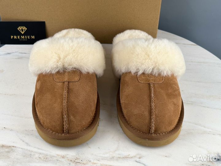 Тапочки UGG Slippers Scuffette Chestnut unisex