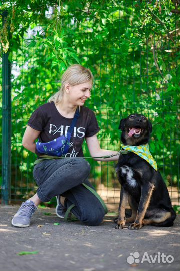 Очаровательный Витя ищет дом