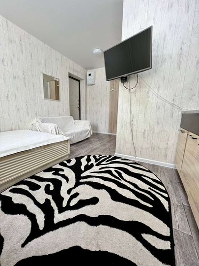 Квартира-студия, 24 м², 1/5 эт.