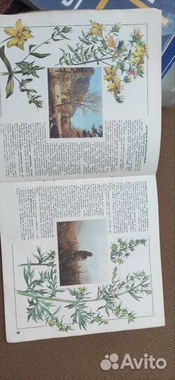 Лекарственные растения книга