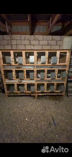 Клетка для кроликов