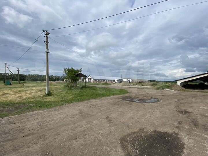 Свободного назначения, корпус, выгул, Теплицы, скл