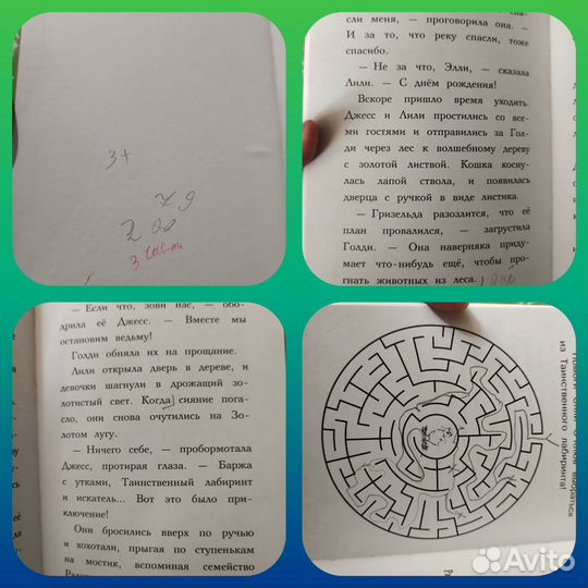 Книги лес дружбы дейзи медоус