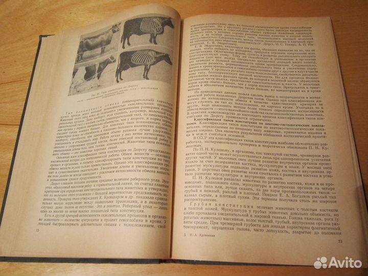 Разведение сельскохозяйственных животных Кравченко